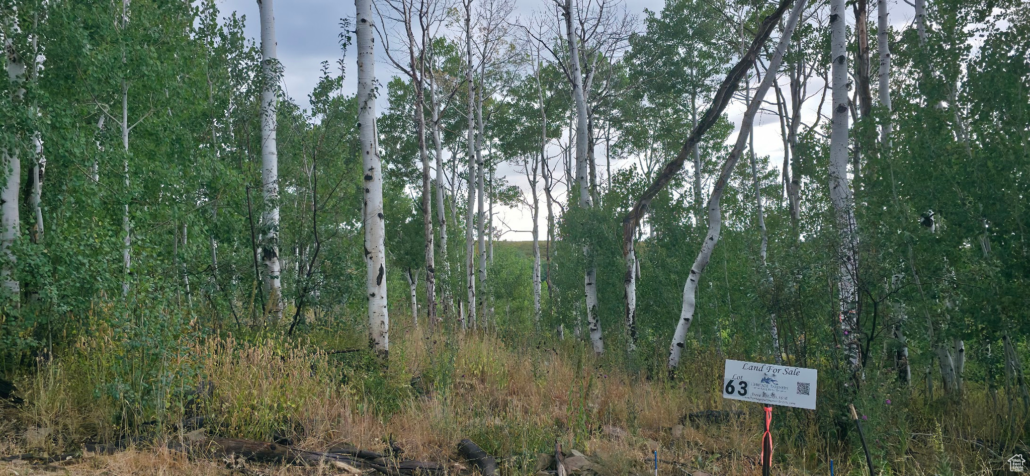 SOLDIER SUMMIT ESTATES - Land