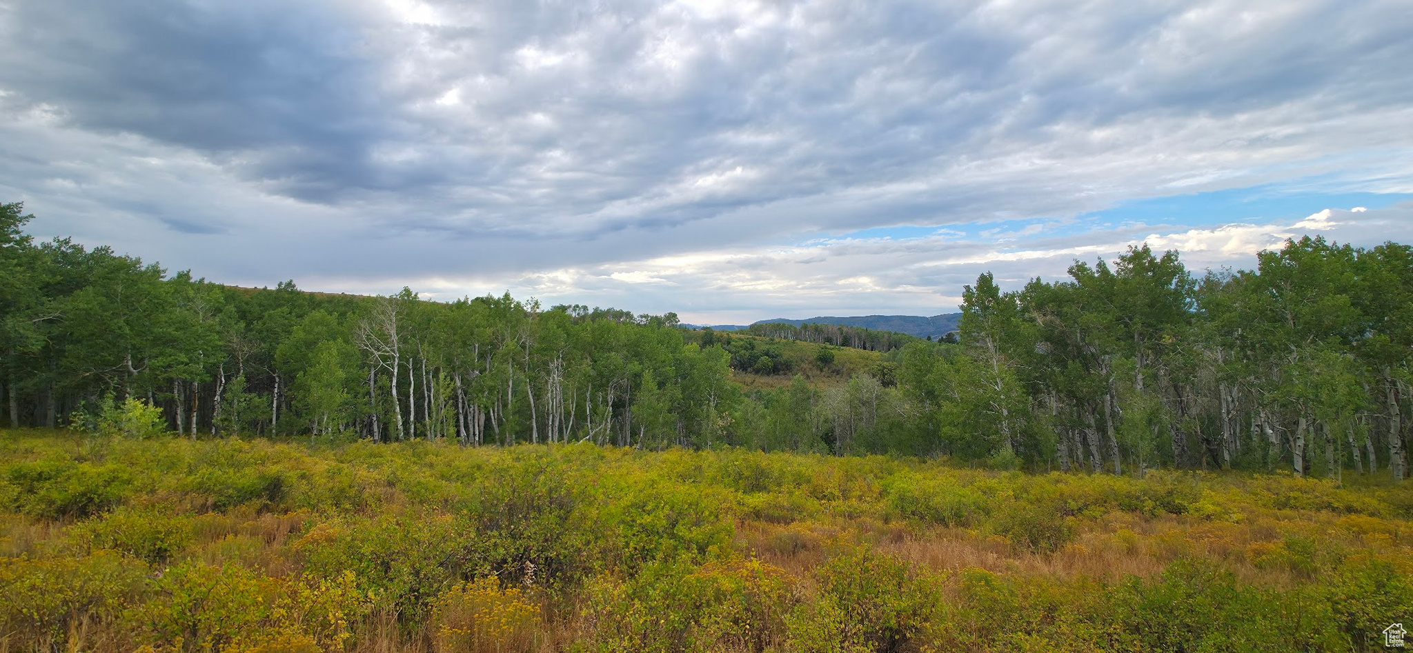 SOLDIER SUMMIT ESTATES - Land