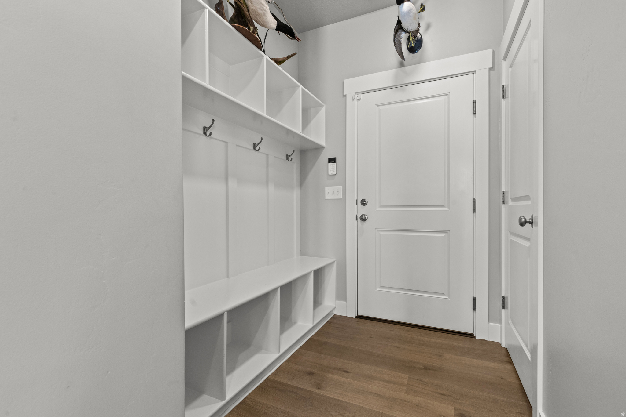 CARDAMINE - Residential
