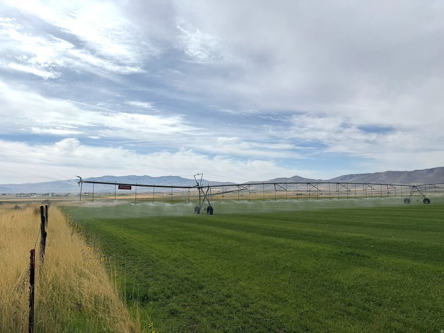 A5 Real Estate is excited to present the Malad Bench Farm. This excellent farm is irrigated by 6 pivots and 3 wells. Of the 425 acres about 400 acres are directly under pivot irrigation. This property is very productive for a variety of crops. Visit the A5 Real Estate website for a full brochure and interactive map.