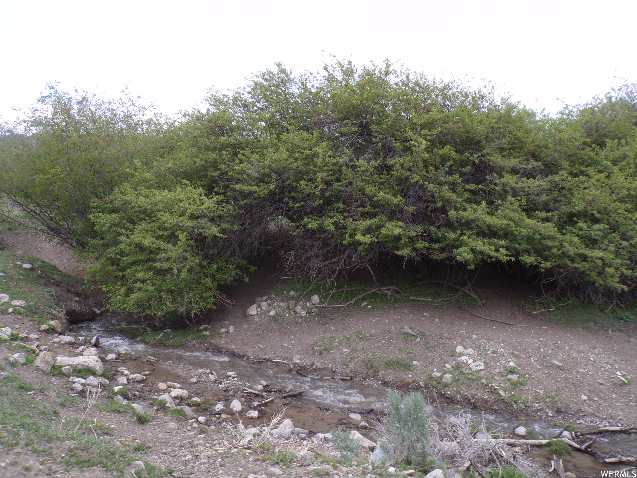 Farm, Malad City, Idaho image 7