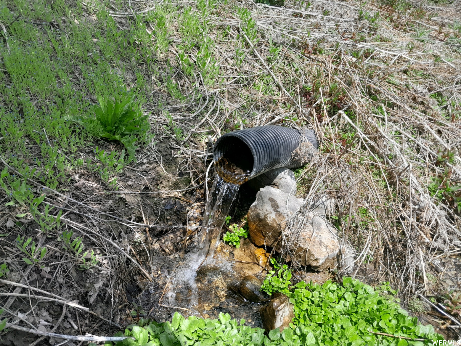 Farm, Malad City, Idaho image 33