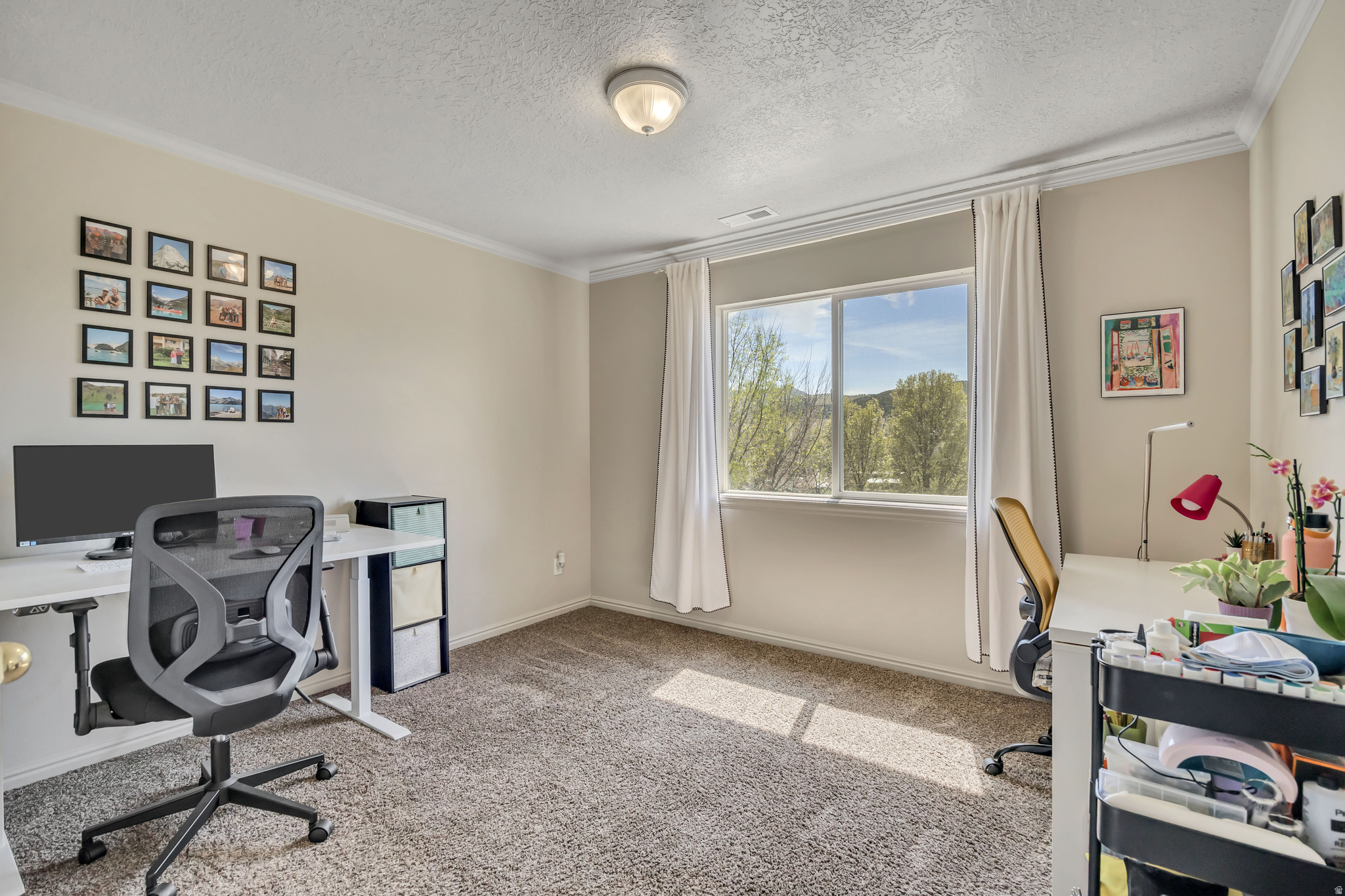 WILLOW SPRINGS - Residential