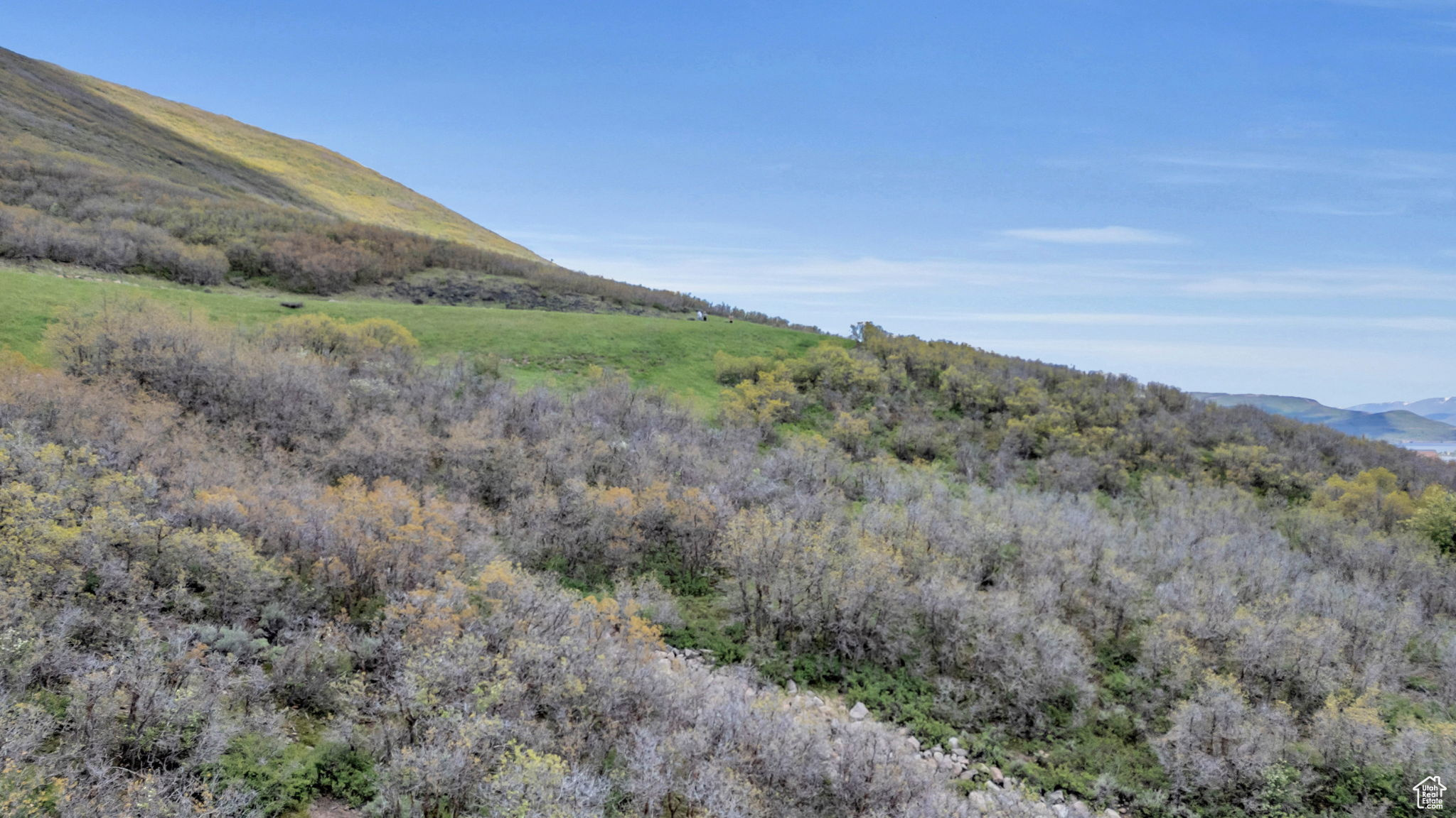 DEER MOUNTAIN - Land