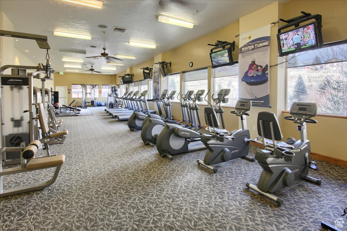 840 Bigler Ln #3008, Midway, Utah image 23
