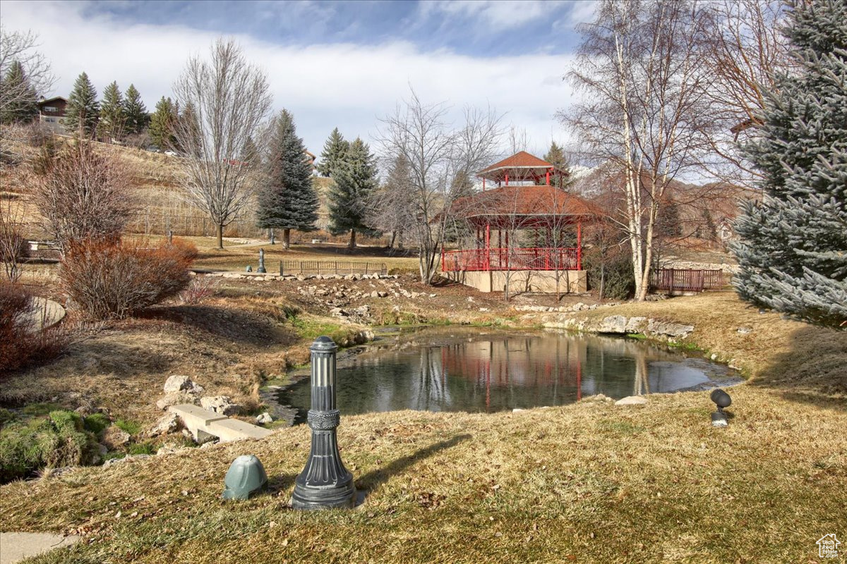 840 Bigler Ln #3008, Midway, Utah image 20