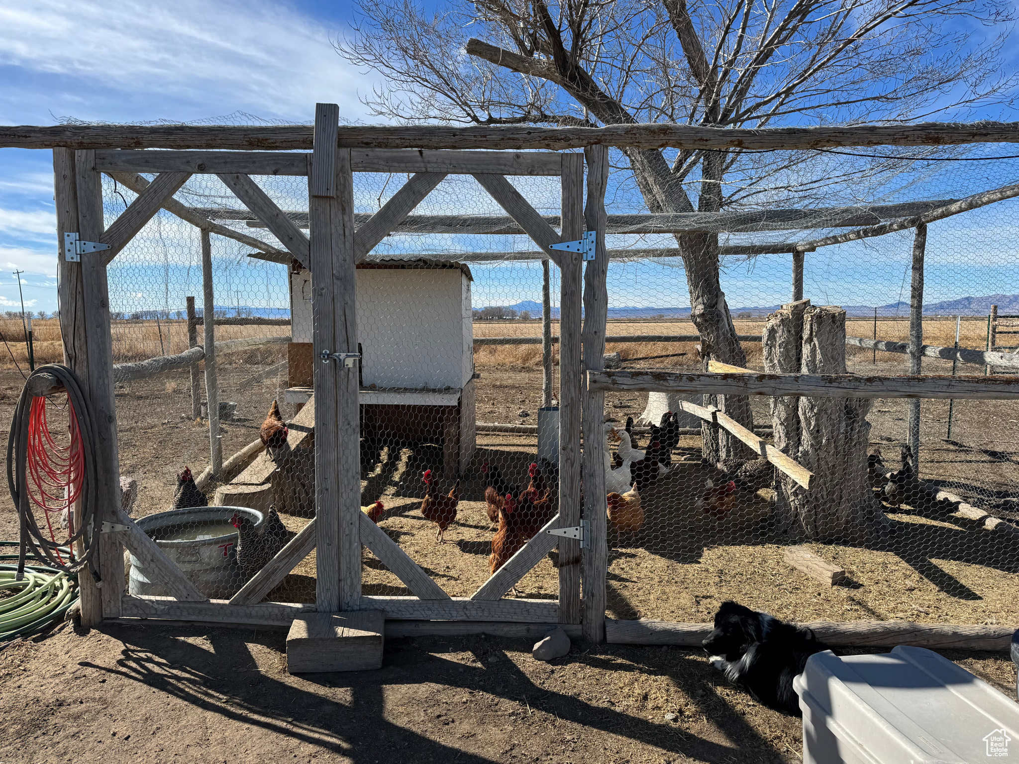 6060 W 3000, Delta, Utah image 47