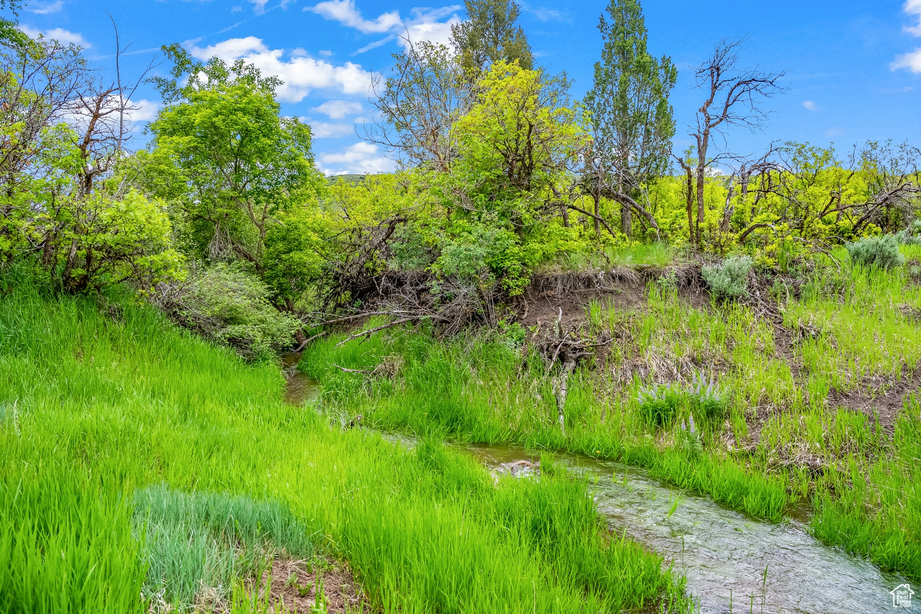 BLUE SAGE RANCH - Land