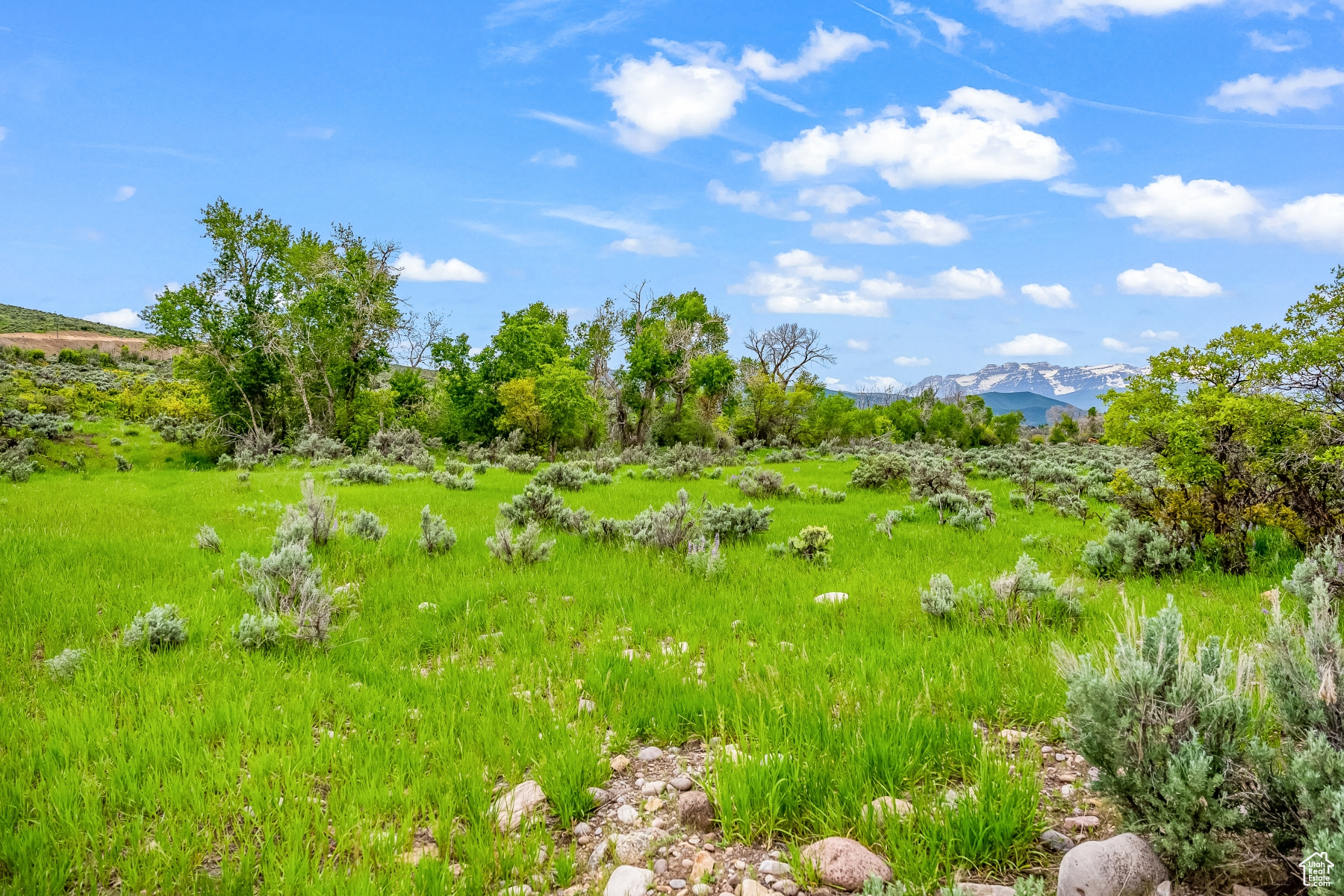 BLUE SAGE RANCH - Land