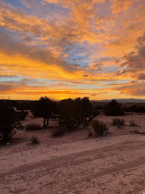 Photo of #66, Duchesne, UT 84021 (MLS # 2119891)