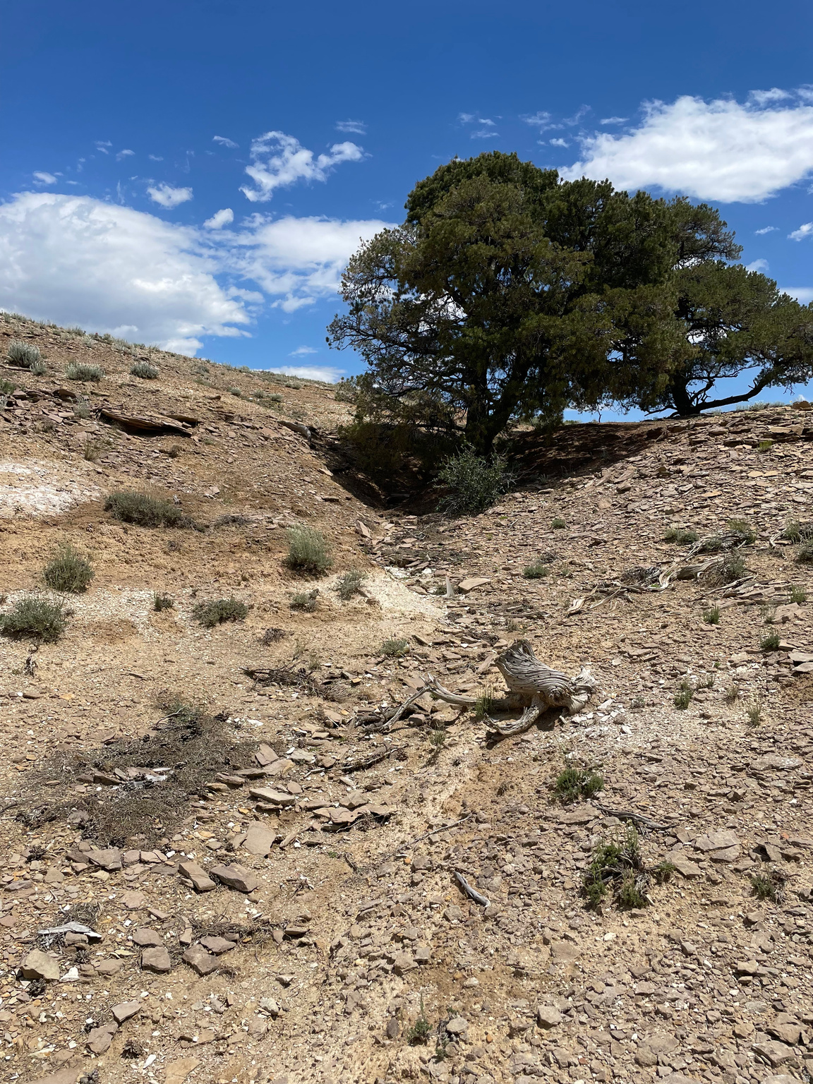 SILVER MOON RANCH - Land