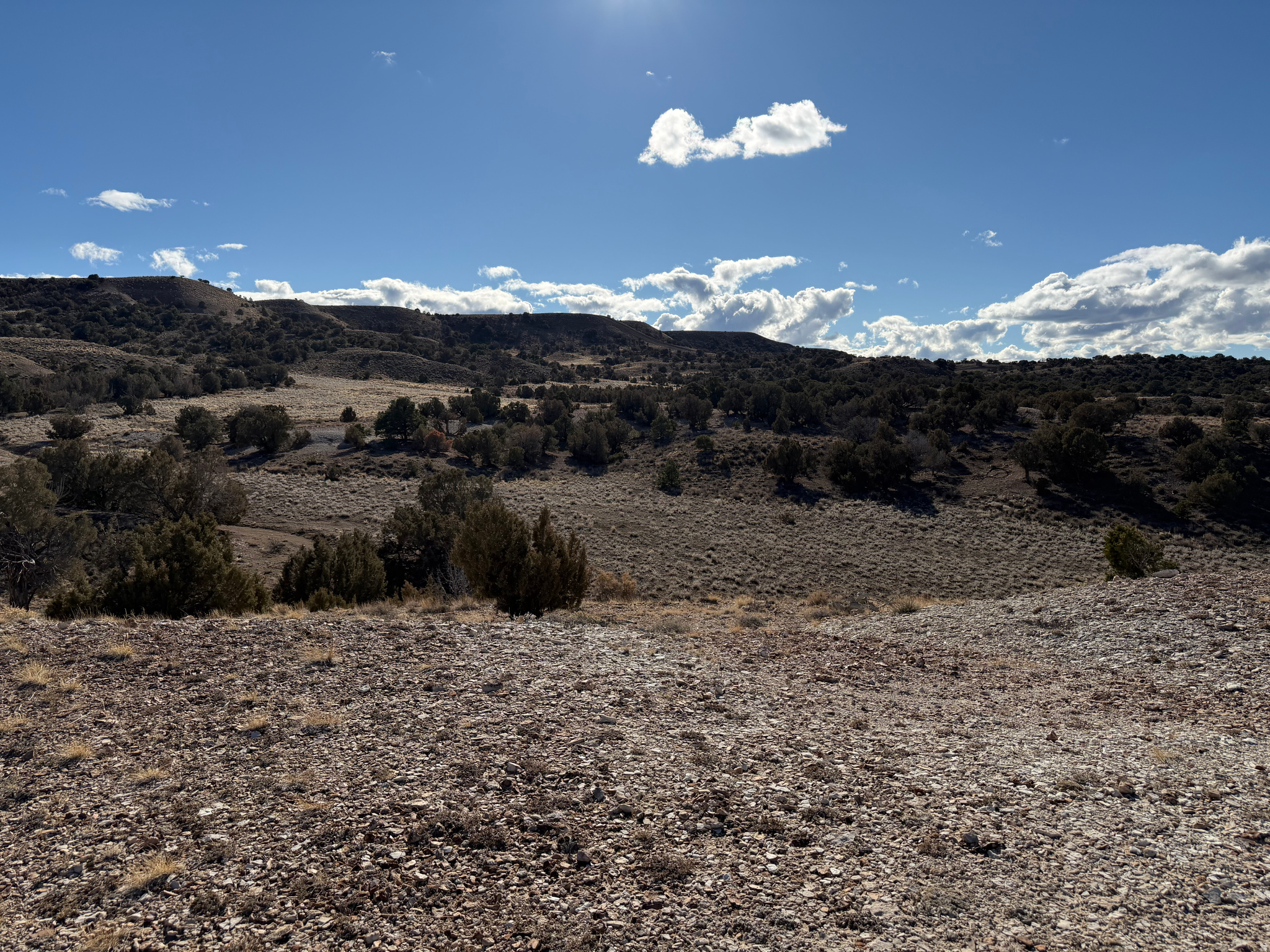 SILVER MOON RANCH - Land