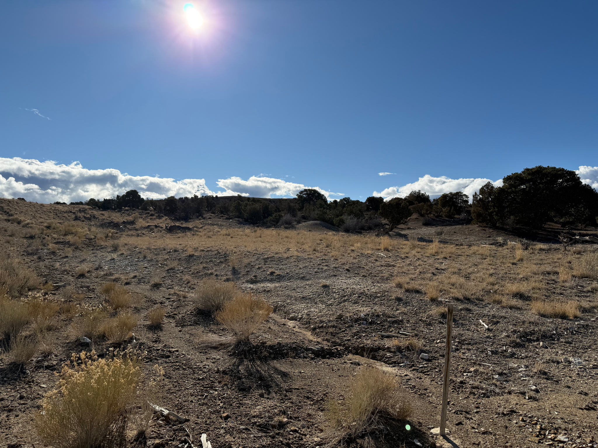 SILVER MOON RANCH - Land