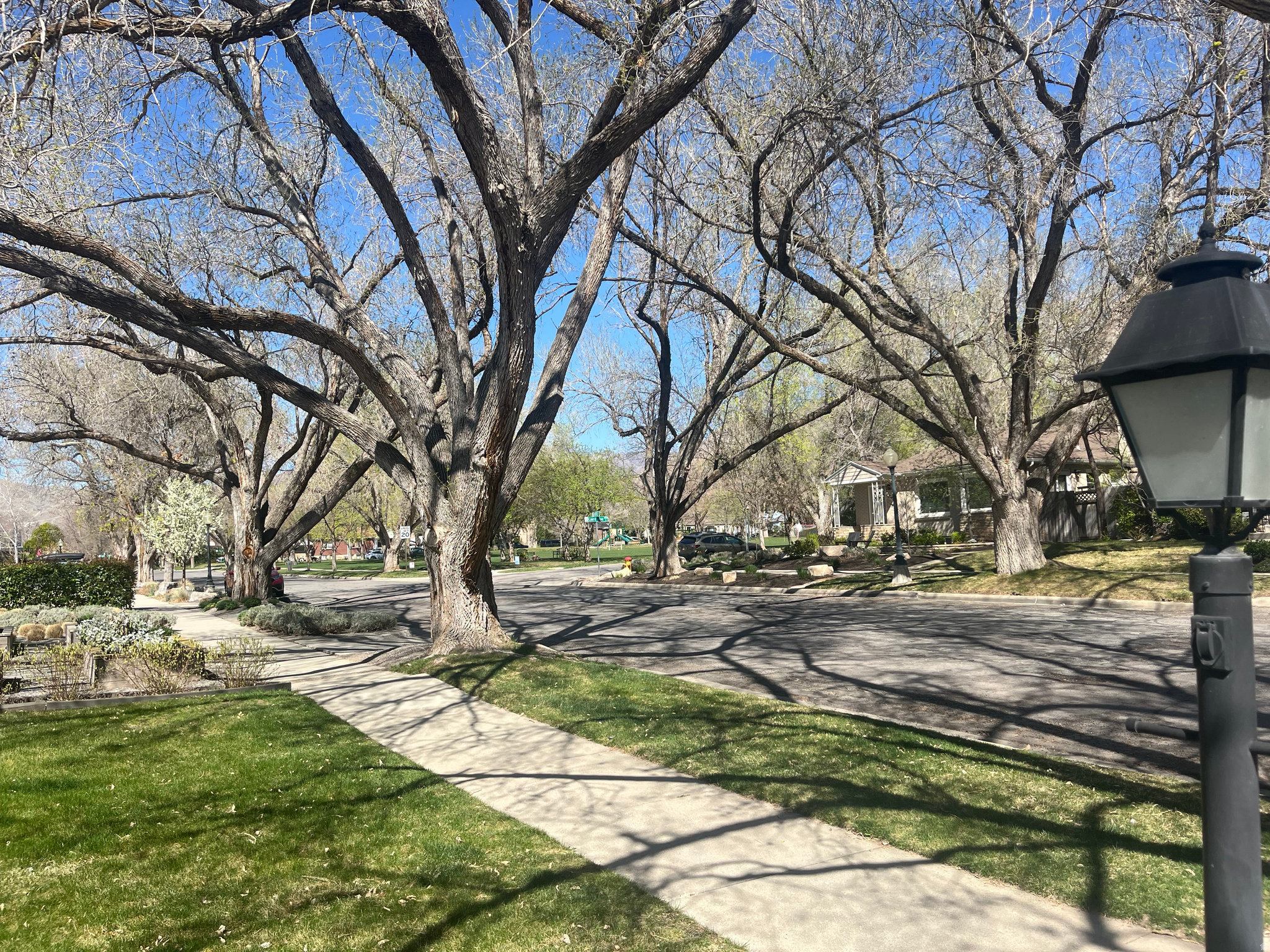 YALECREST LAIRD PARK - Residential