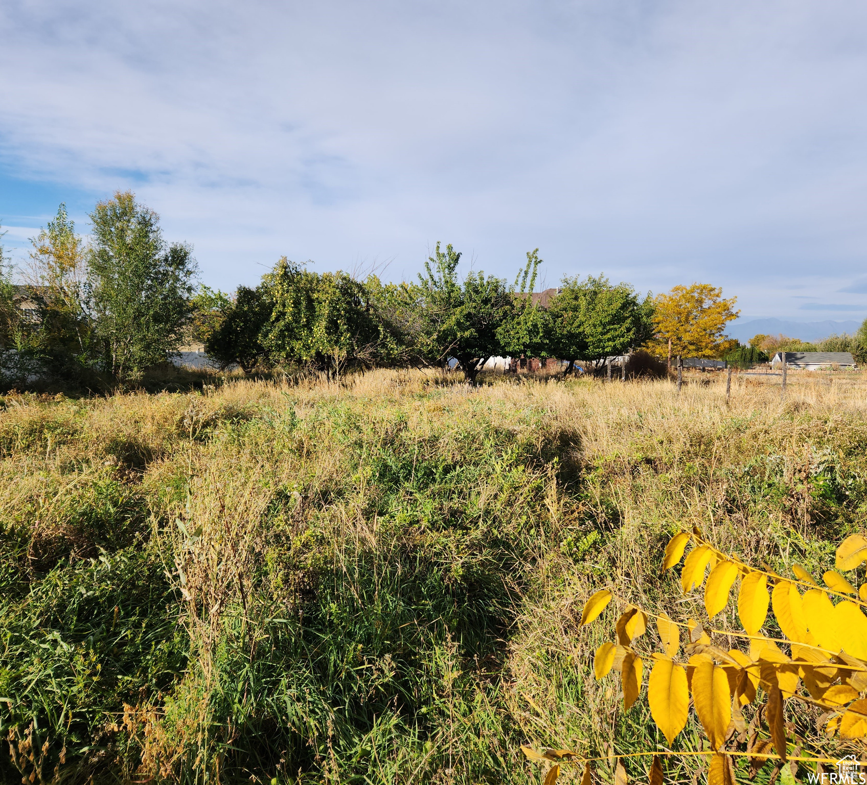 510 S Locust Ave #9, Pleasant Grove, Utah image 4