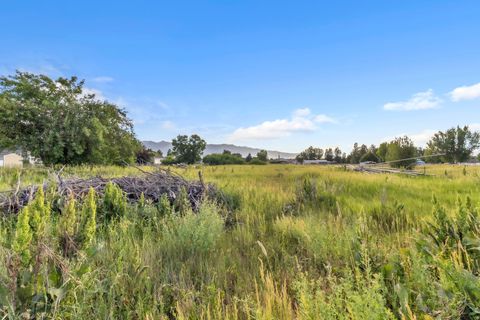Tiny photo for 185 S 200 W, Providence, UT 84332 (MLS # 2126897)