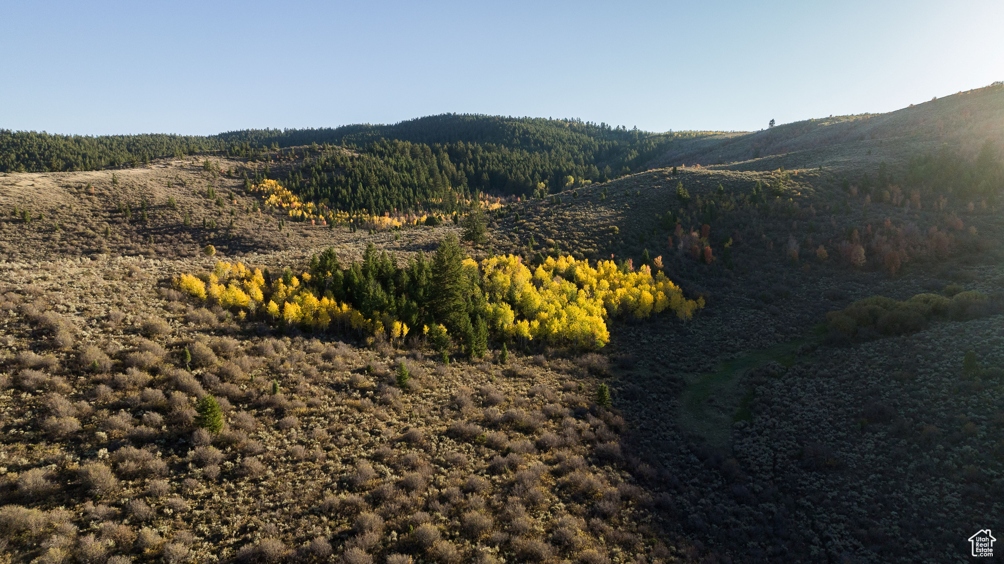 Land, Montpelier, Idaho image 1