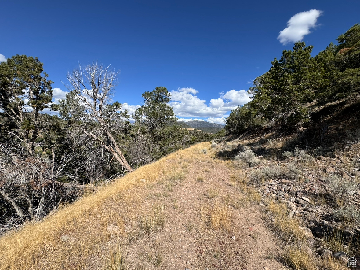 2368 E 190, Beaver, Utah image 2