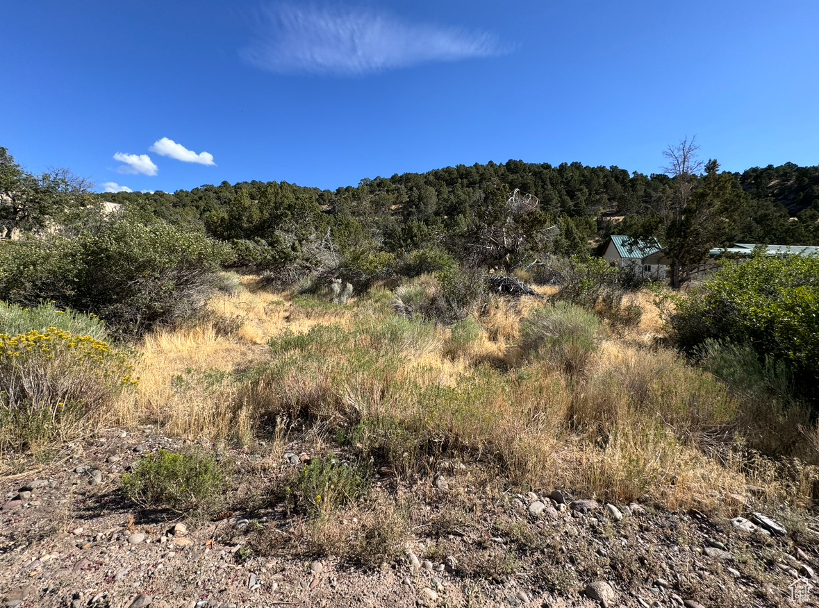 2368 E 190, Beaver, Utah image 7