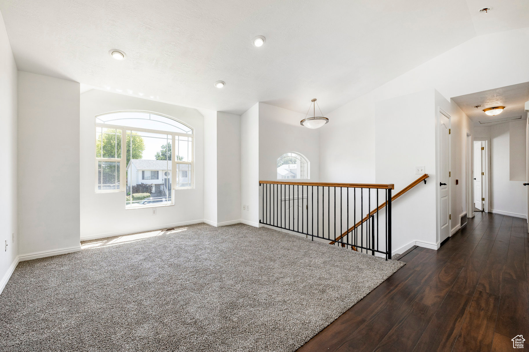 WILD IVY - Residential