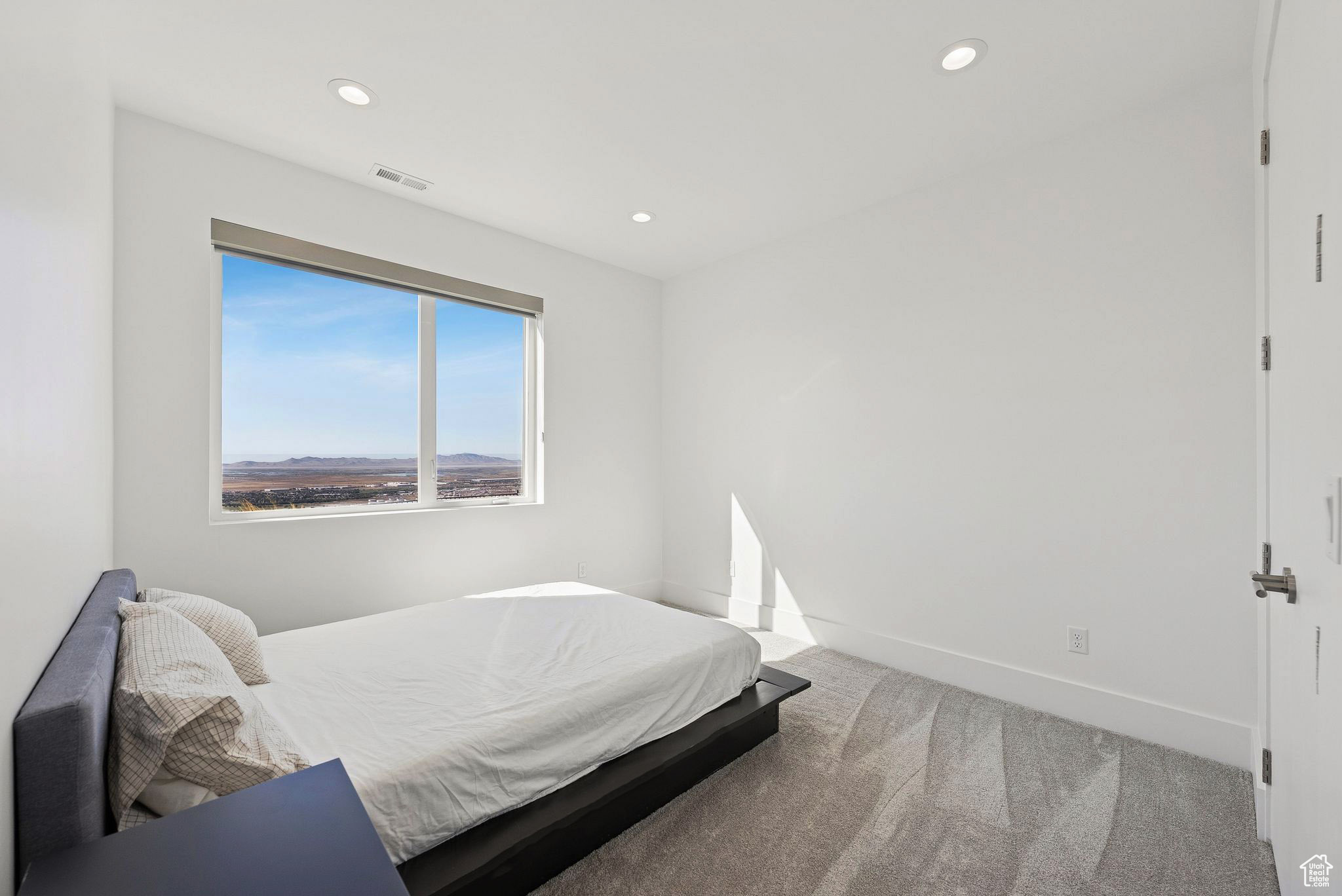 CAPITOL HILLS - Residential