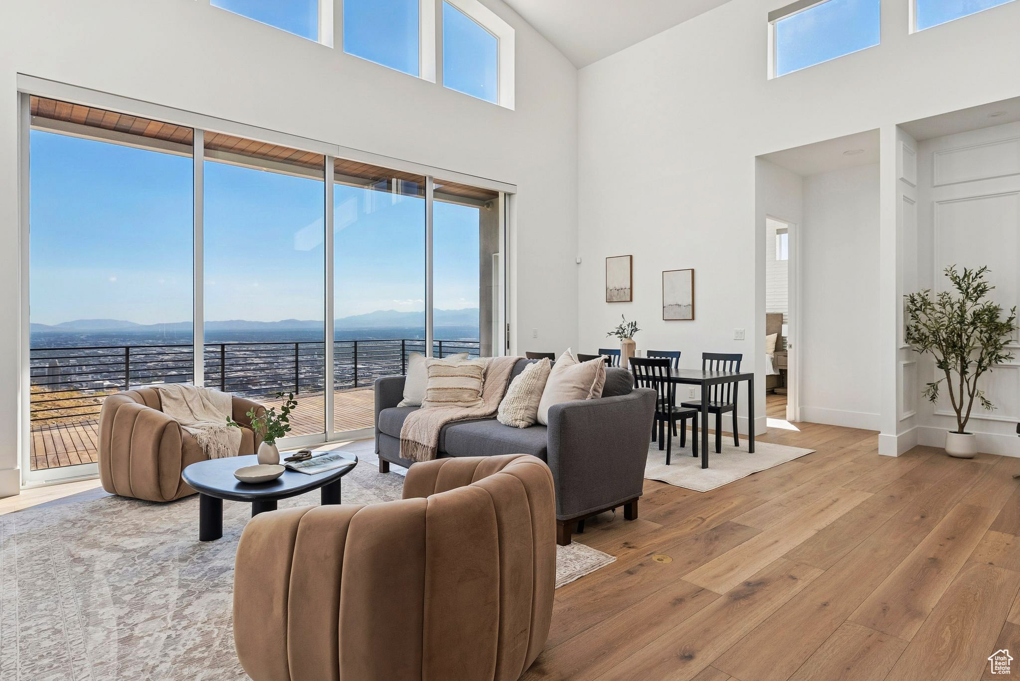 CAPITOL HILLS - Residential
