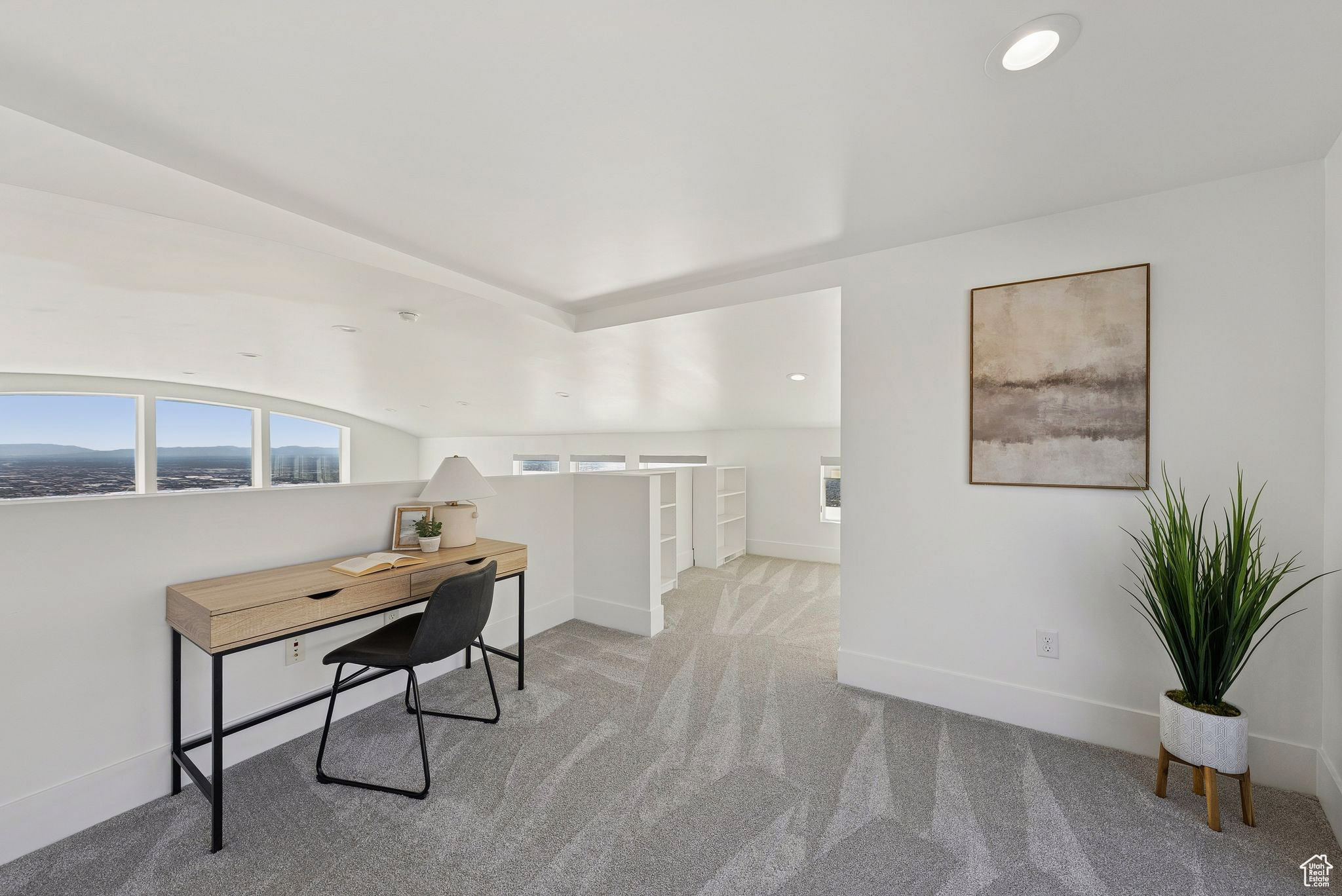 CAPITOL HILLS - Residential