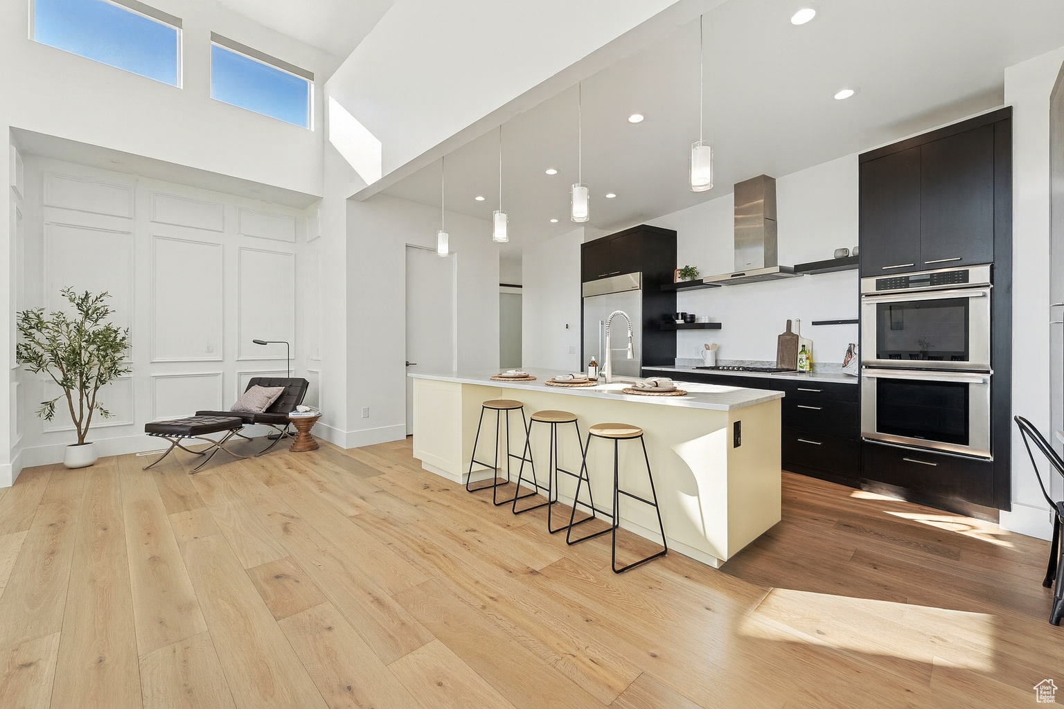 CAPITOL HILLS - Residential