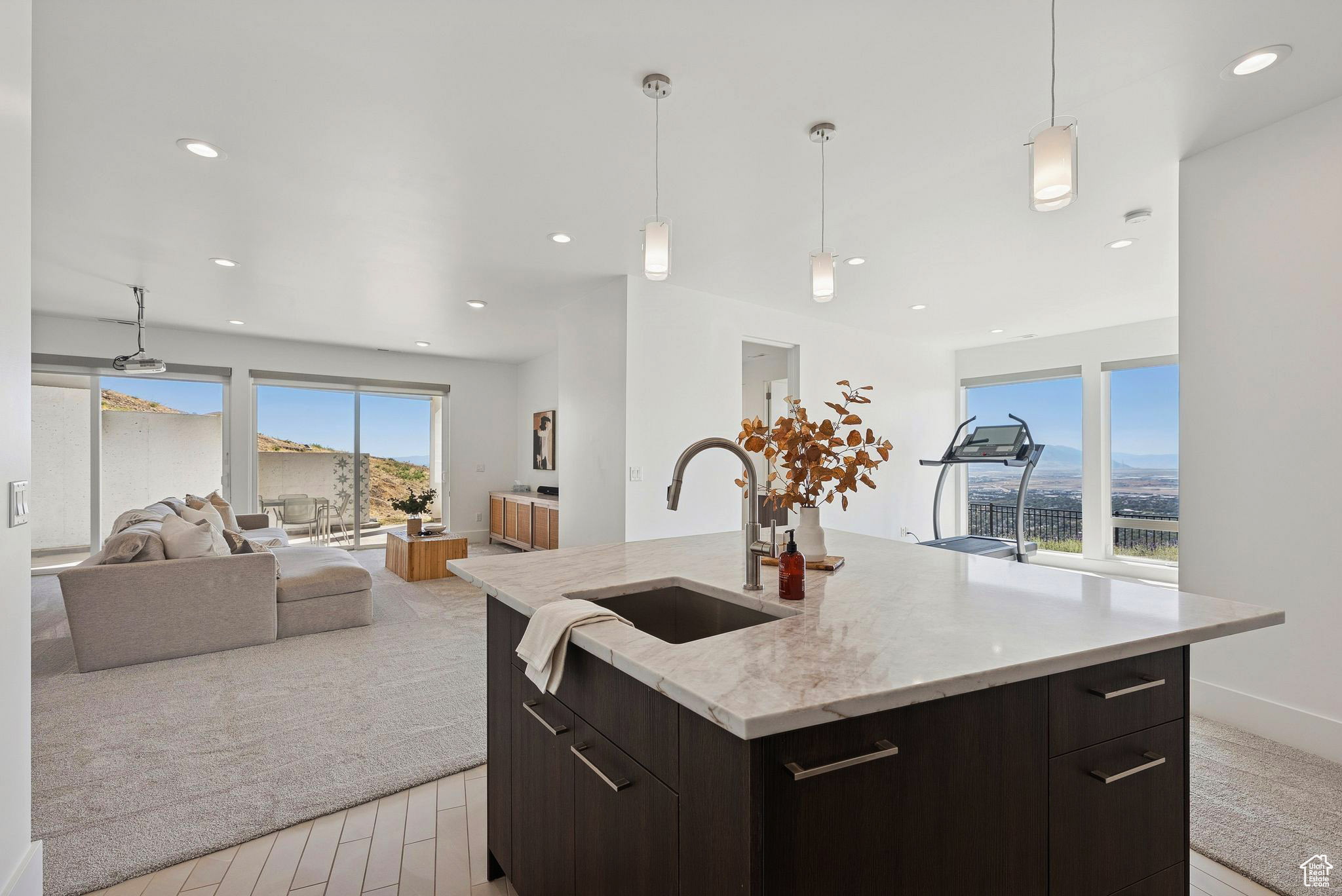 CAPITOL HILLS - Residential