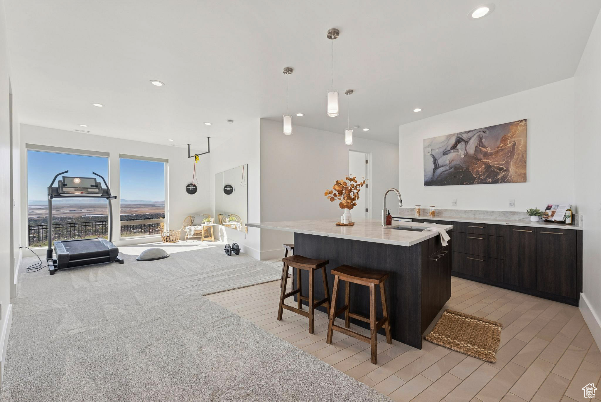 CAPITOL HILLS - Residential