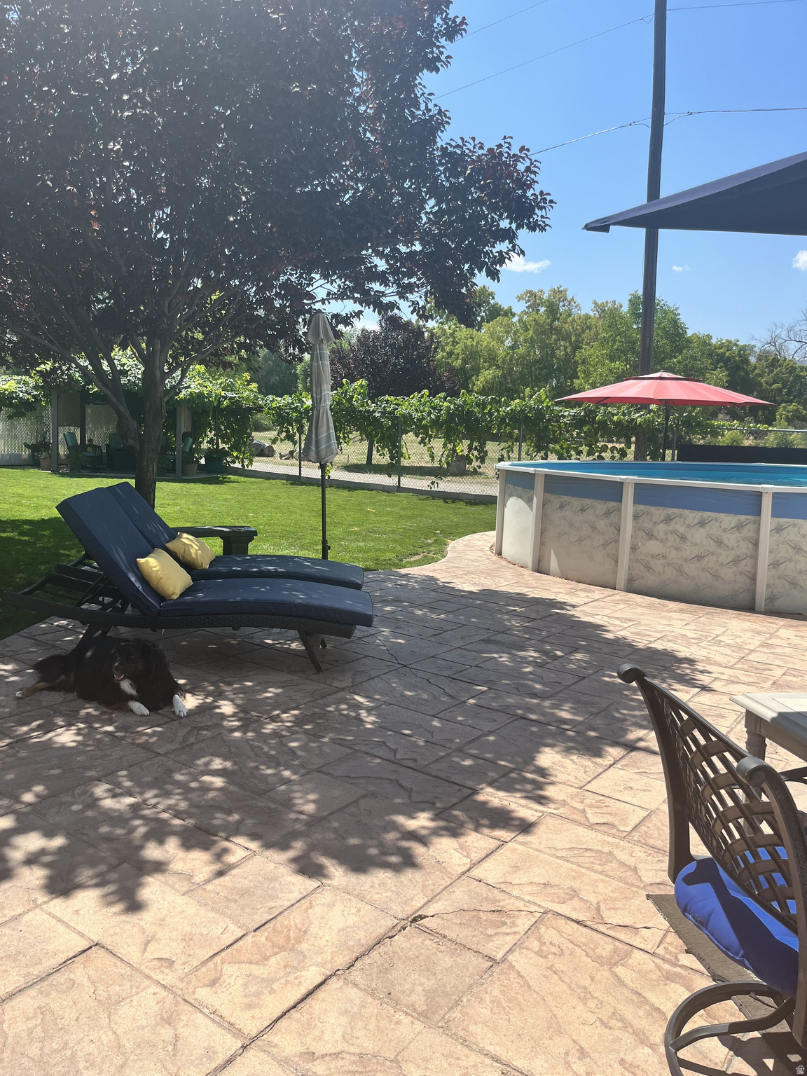 APPLE TERRACES - Residential