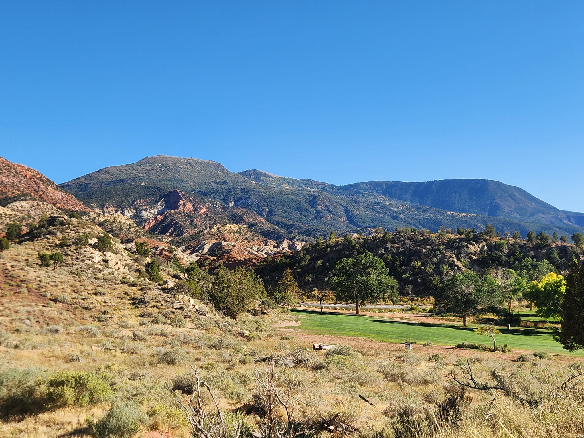 THUNDERBIRD GARDENS ESTATES PUD - Residential