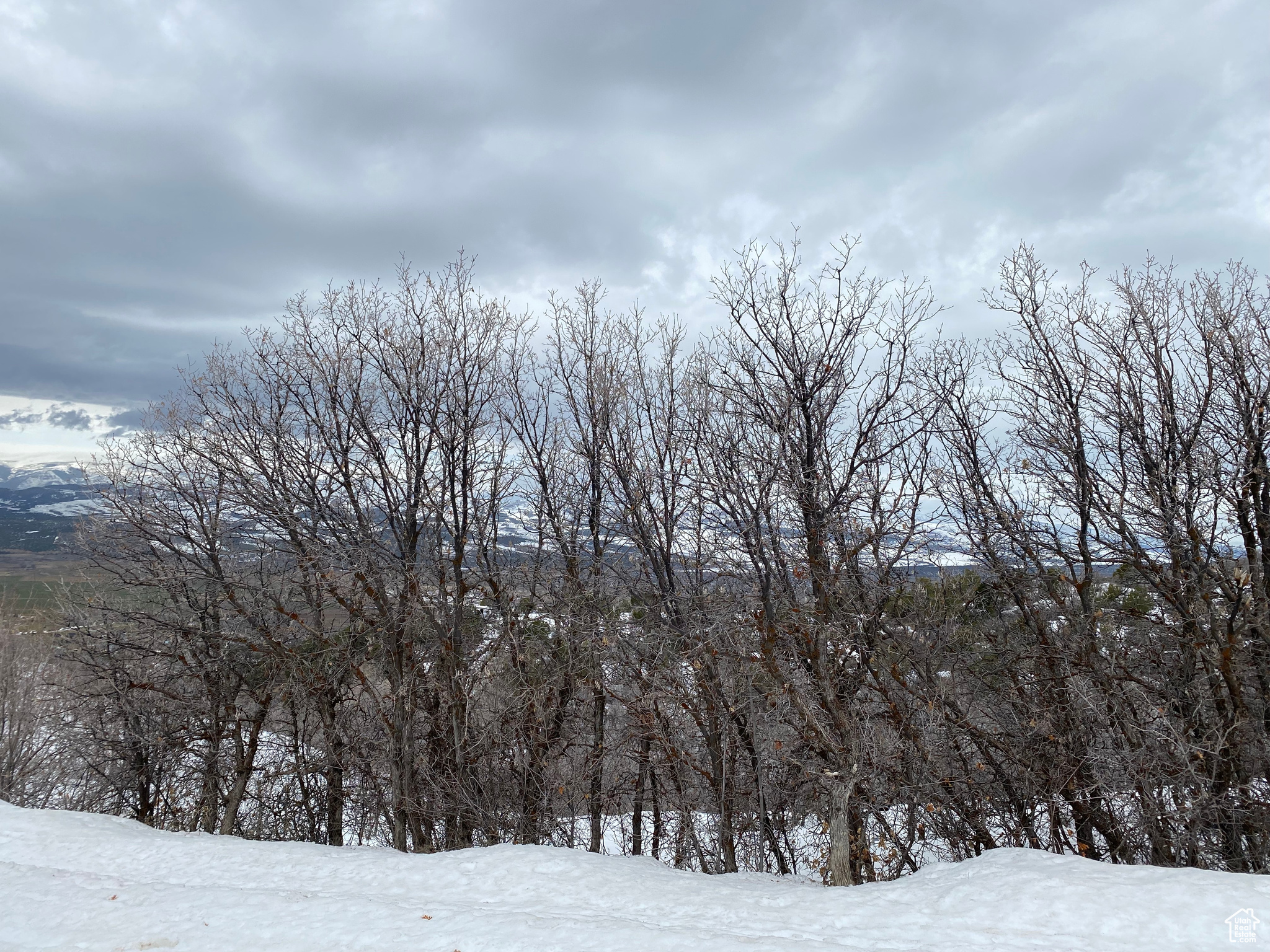 22625 N 13255 #4, Fairview, Utah image 7