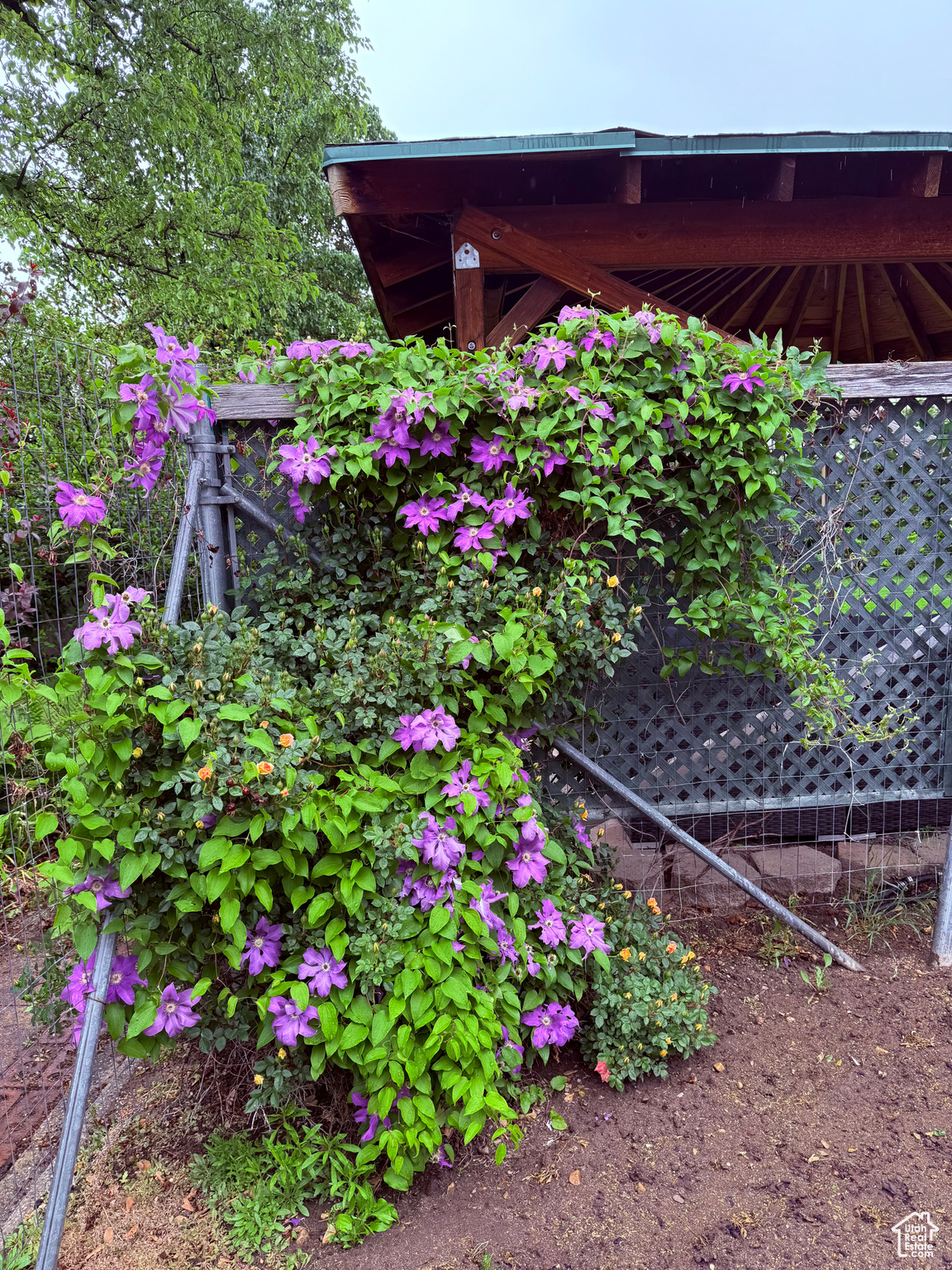 8478 S 1475, Sandy, Utah image 31