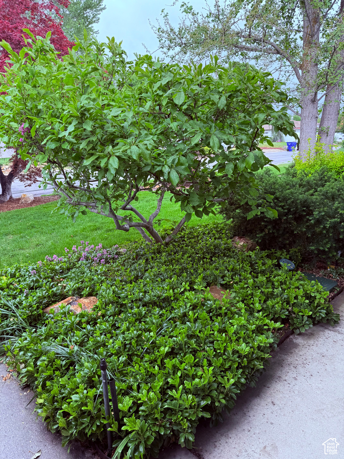 8478 S 1475, Sandy, Utah image 40