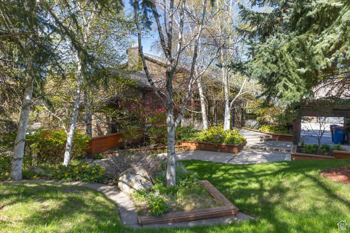 SPRING CREEK - Residential