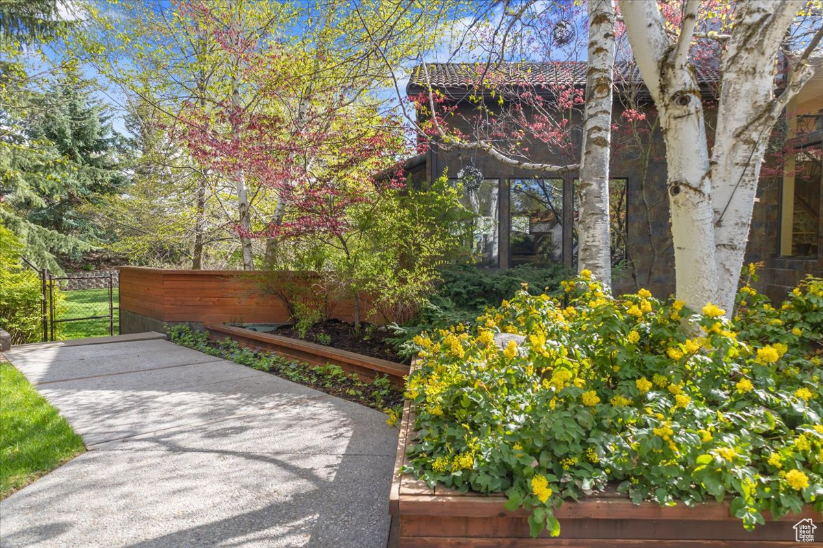 SPRING CREEK - Residential