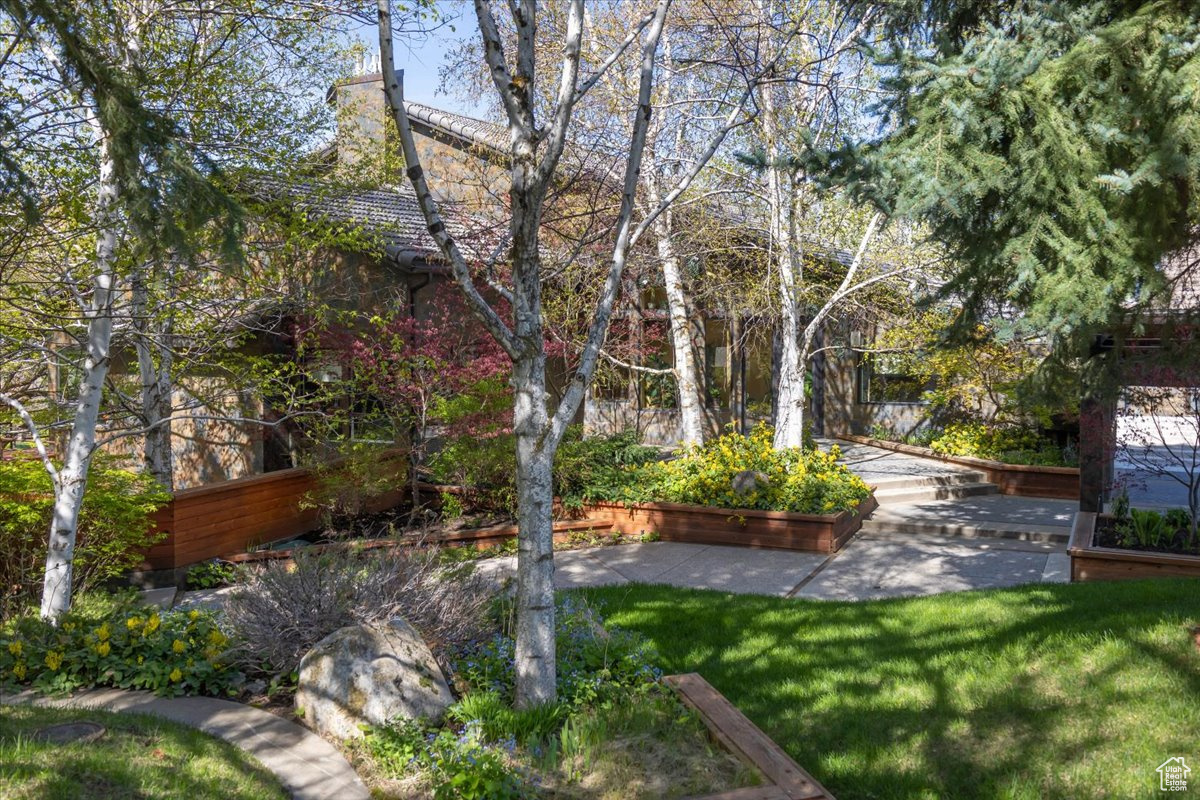 SPRING CREEK - Residential