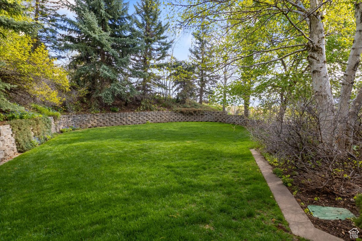 SPRING CREEK - Residential