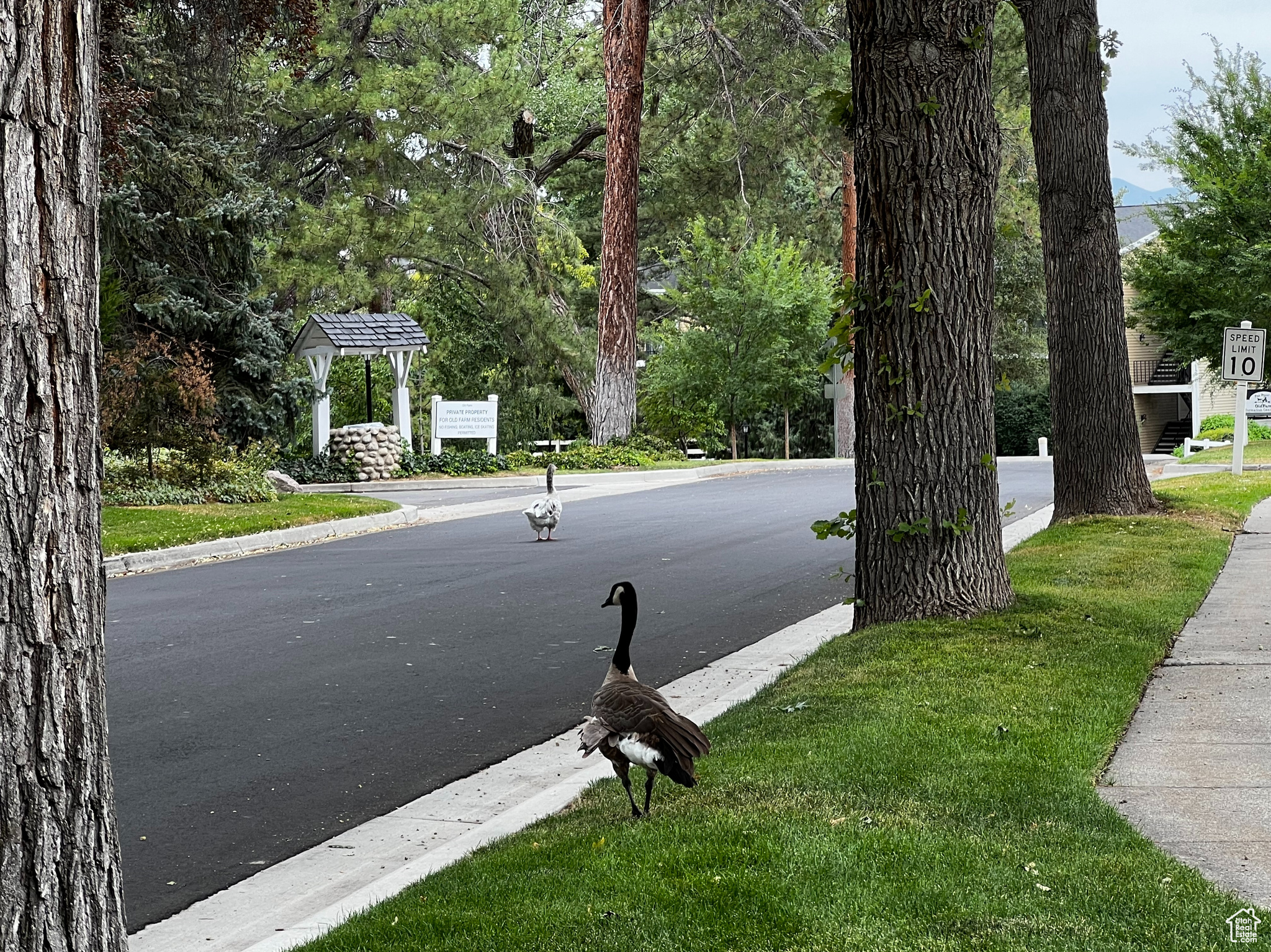 WAYLAND STATION AT OLD FARM - Residential