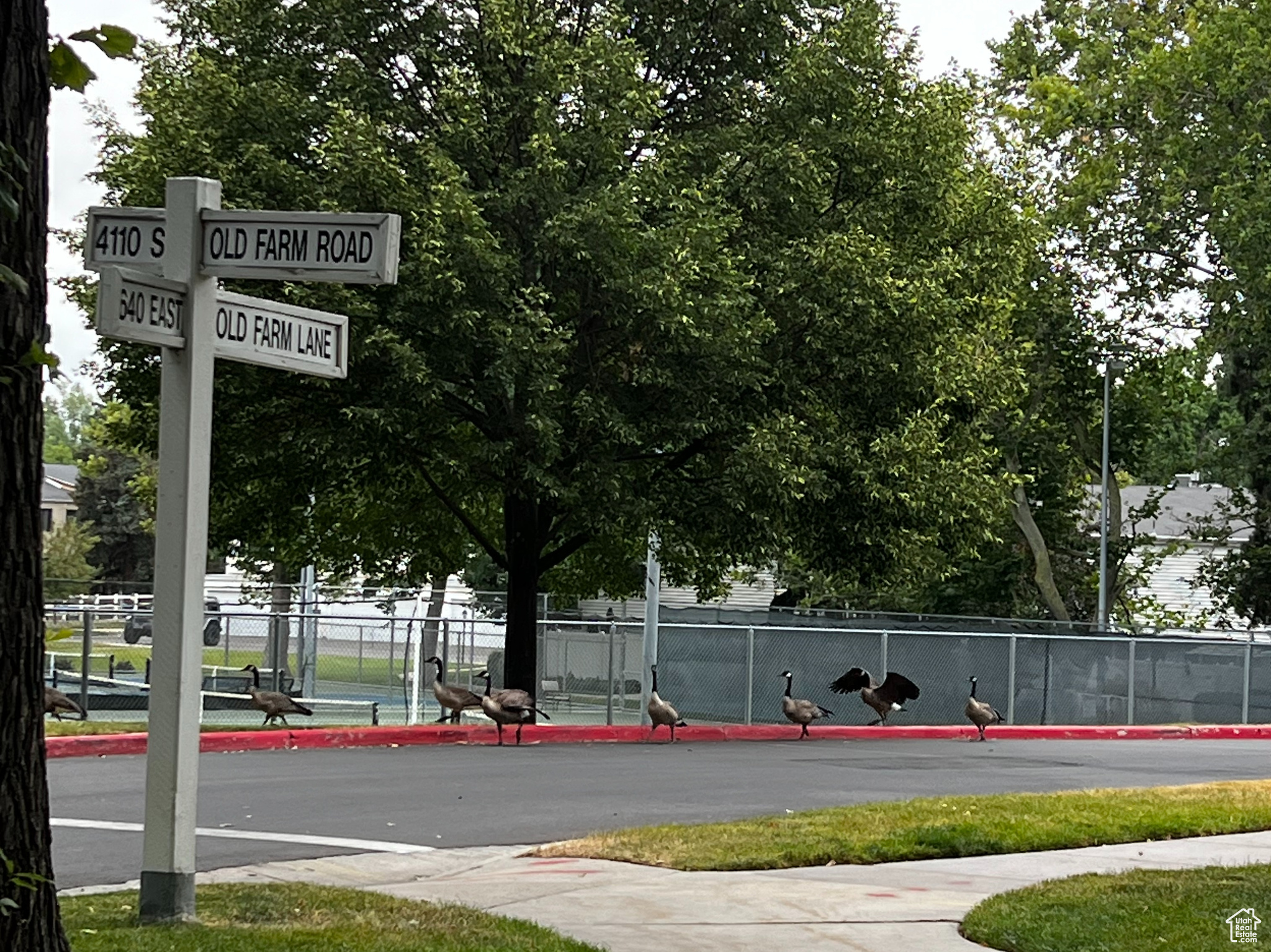 WAYLAND STATION AT OLD FARM - Residential