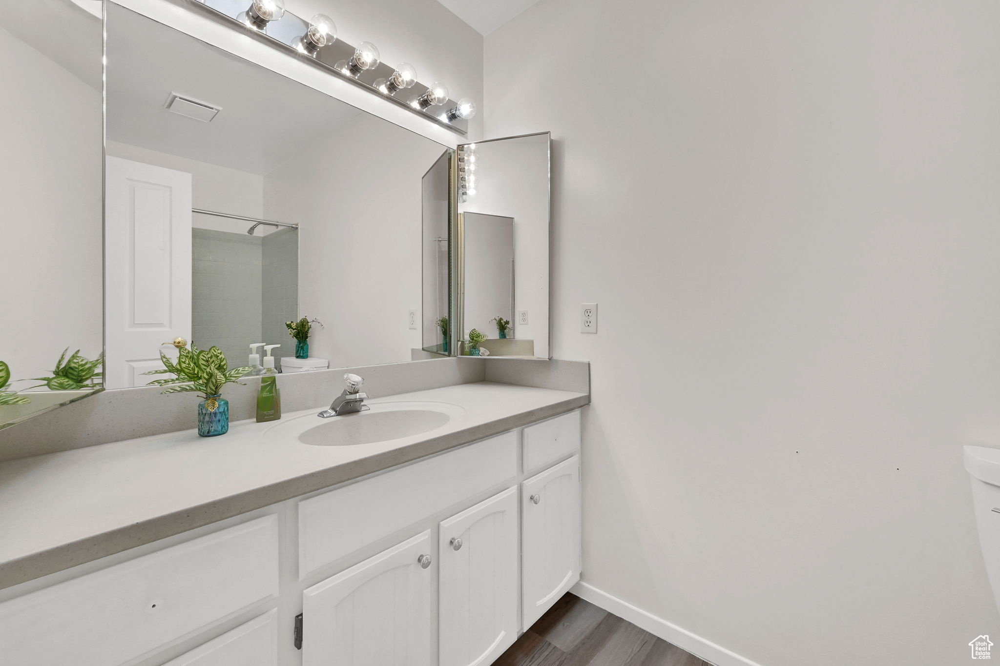 WAYLAND STATION AT OLD FARM - Residential