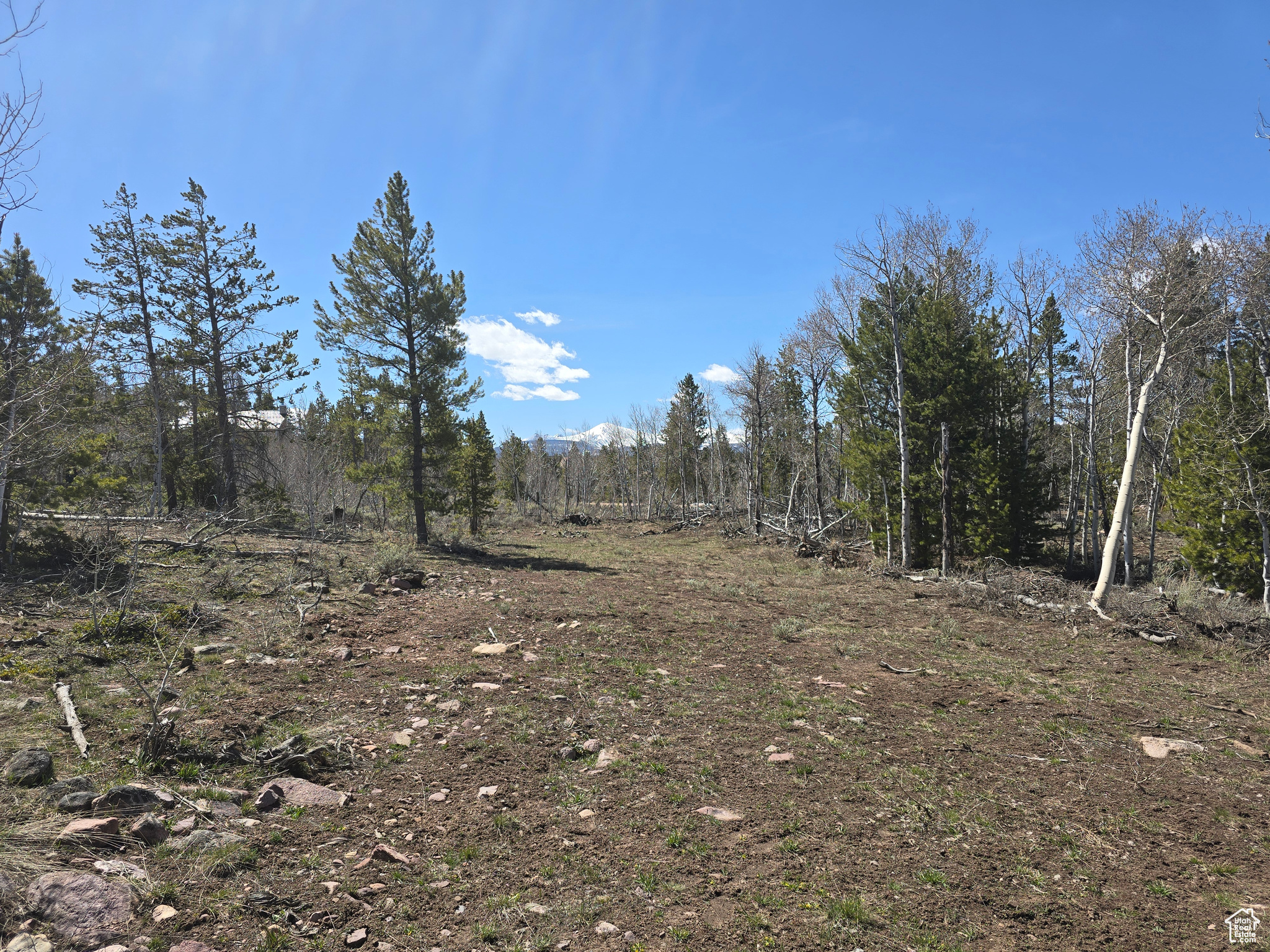 PINE PLATEAU ESTATES NO. 3 SUB. - Land