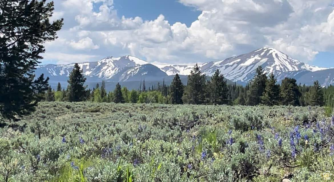 PINE PLATEAU ESTATES NO. 3 SUB. - Land