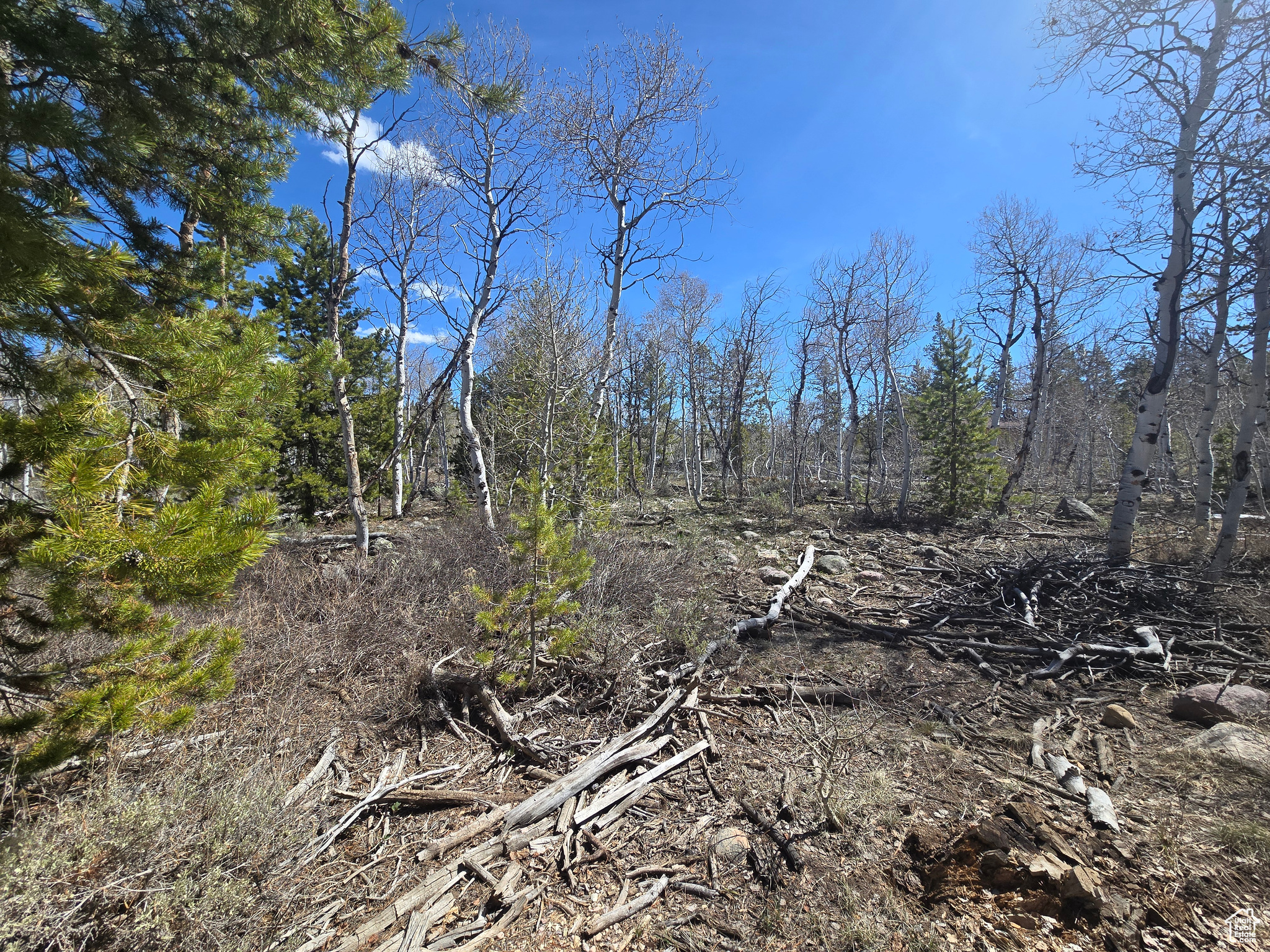 PINE PLATEAU ESTATES NO. 3 SUB. - Land