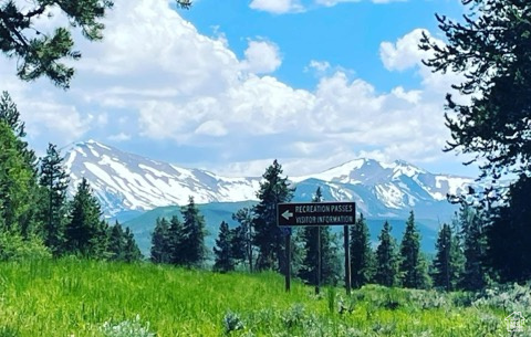 PINE PLATEAU ESTATES NO. 3 SUB. - Land