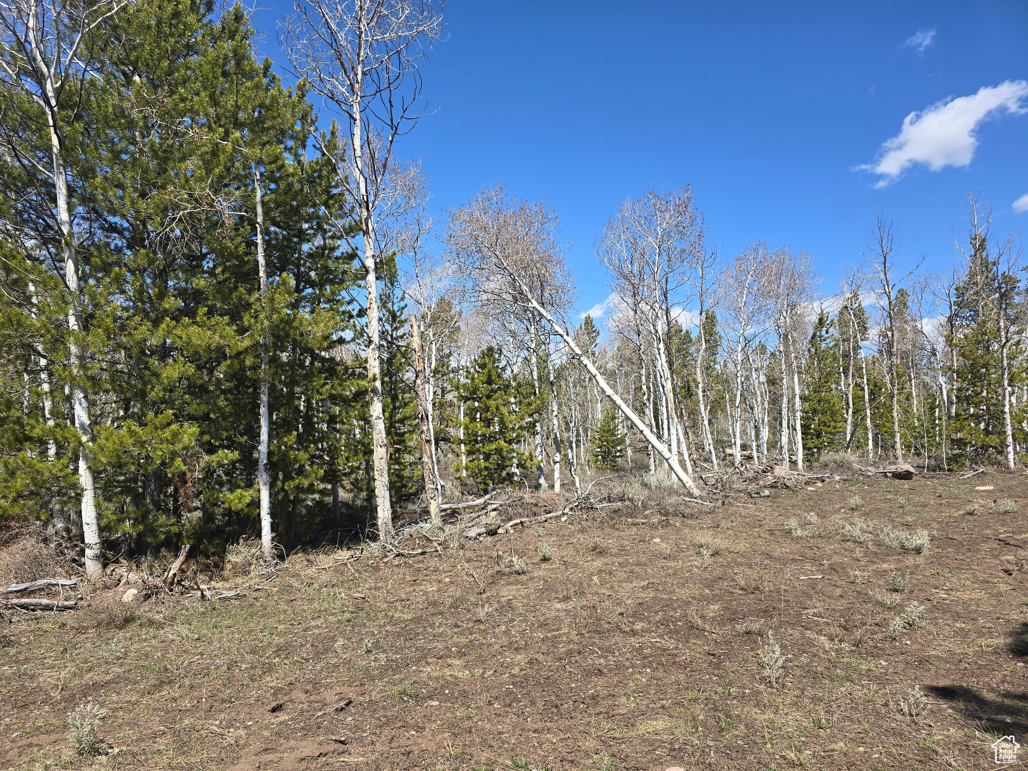 PINE PLATEAU ESTATES NO. 3 SUB. - Land