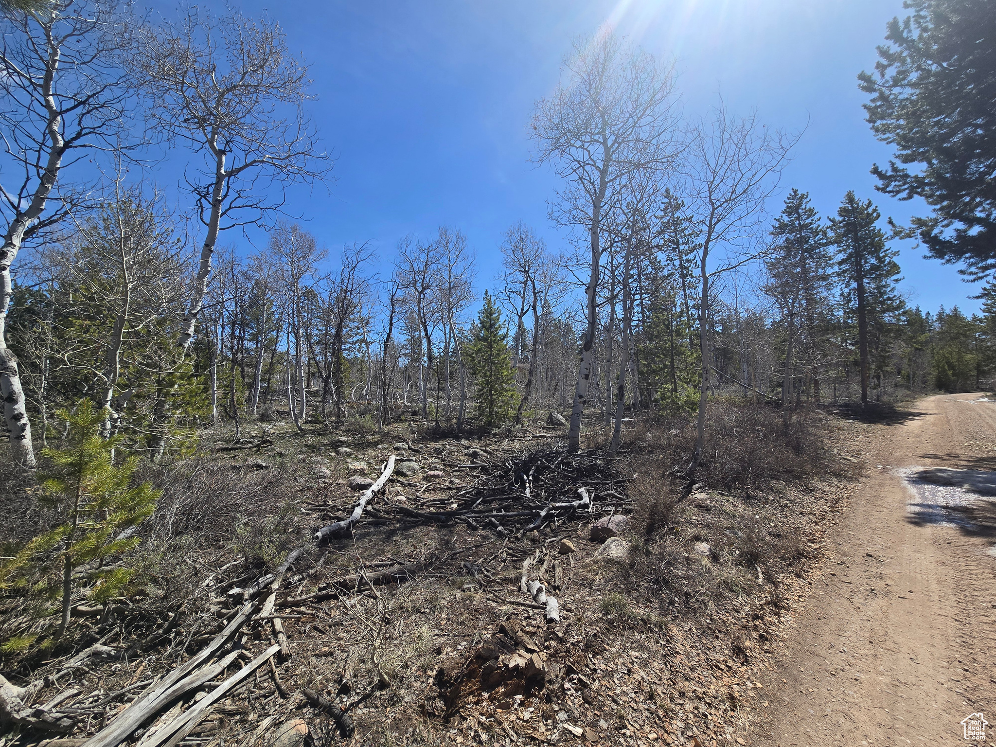 PINE PLATEAU ESTATES NO. 3 SUB. - Land