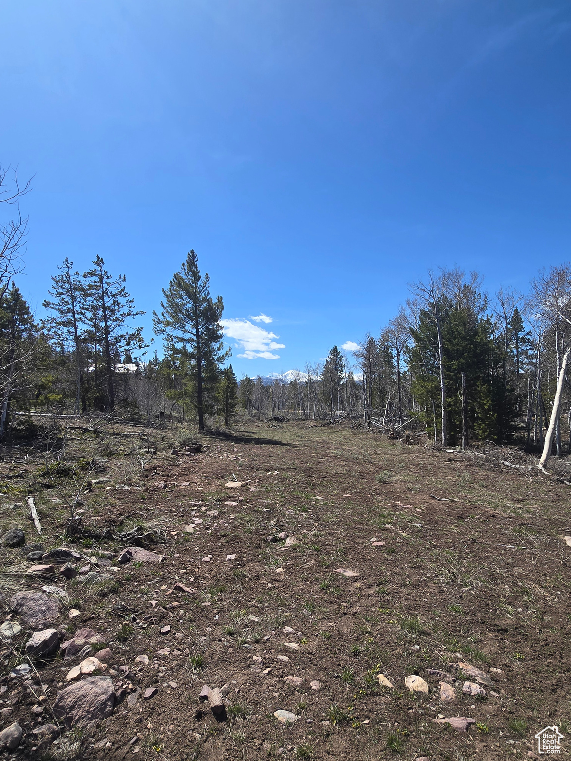 PINE PLATEAU ESTATES NO. 3 SUB. - Land