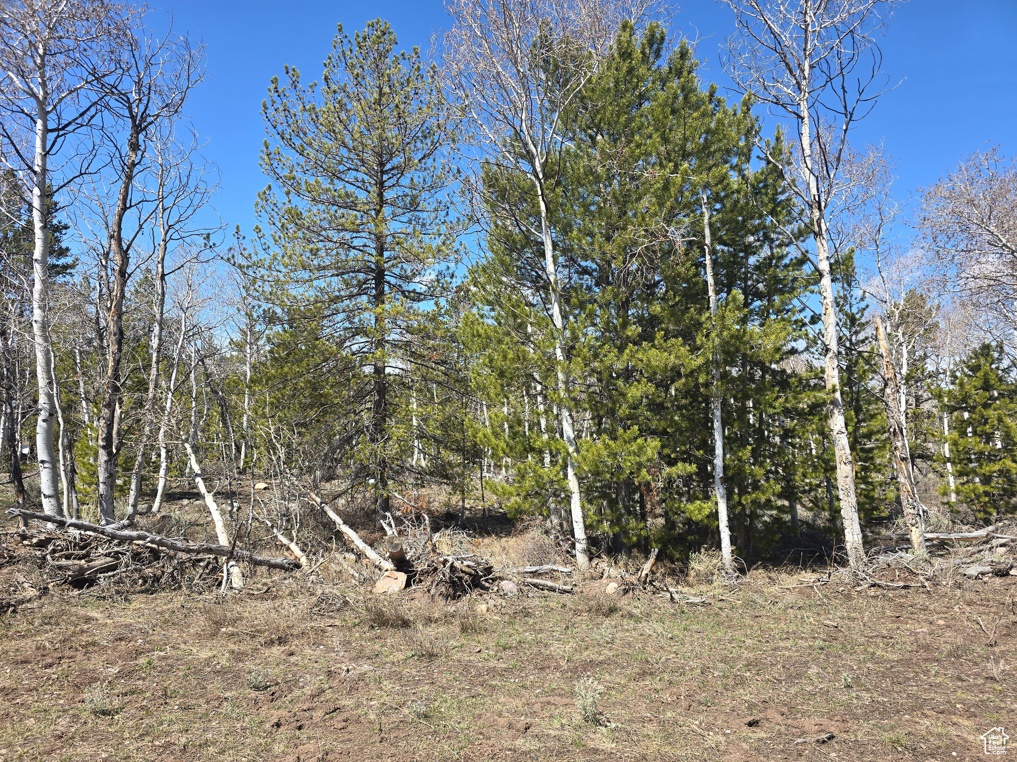 PINE PLATEAU ESTATES NO. 3 SUB. - Land